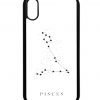 Pisces Case