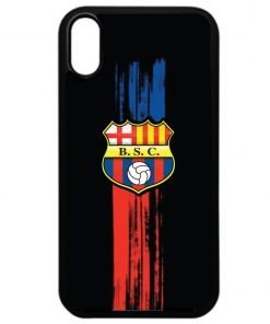 BSC Case