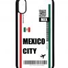 Mexico Fly Ticket Case